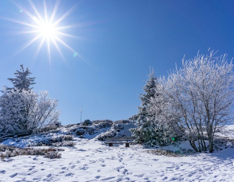 Fotografie Sonniger Wintertag mit schneebedecktem Boden und frostigen Bäumen.